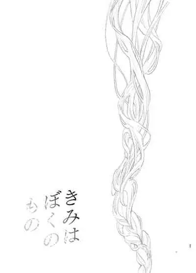 Kimi wa Boku no Mono