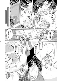 (Sekitan Bukuro) THUNDER CLOTH (Touhou Project)