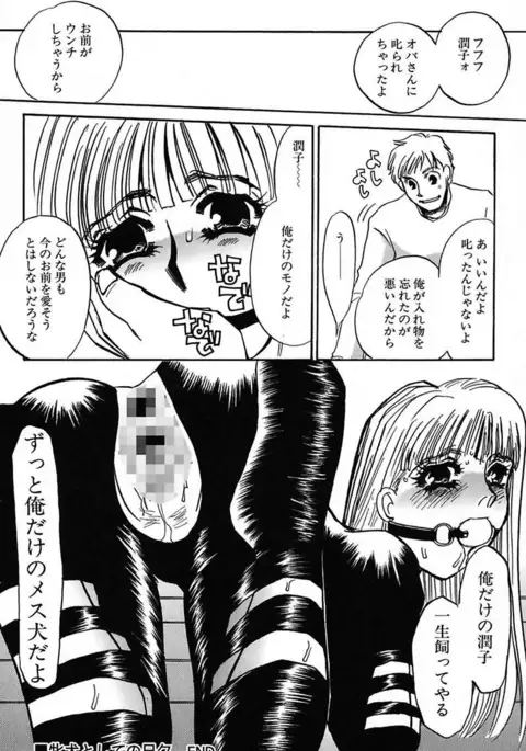 Ijou Seiyoku Mesuinu Toshite