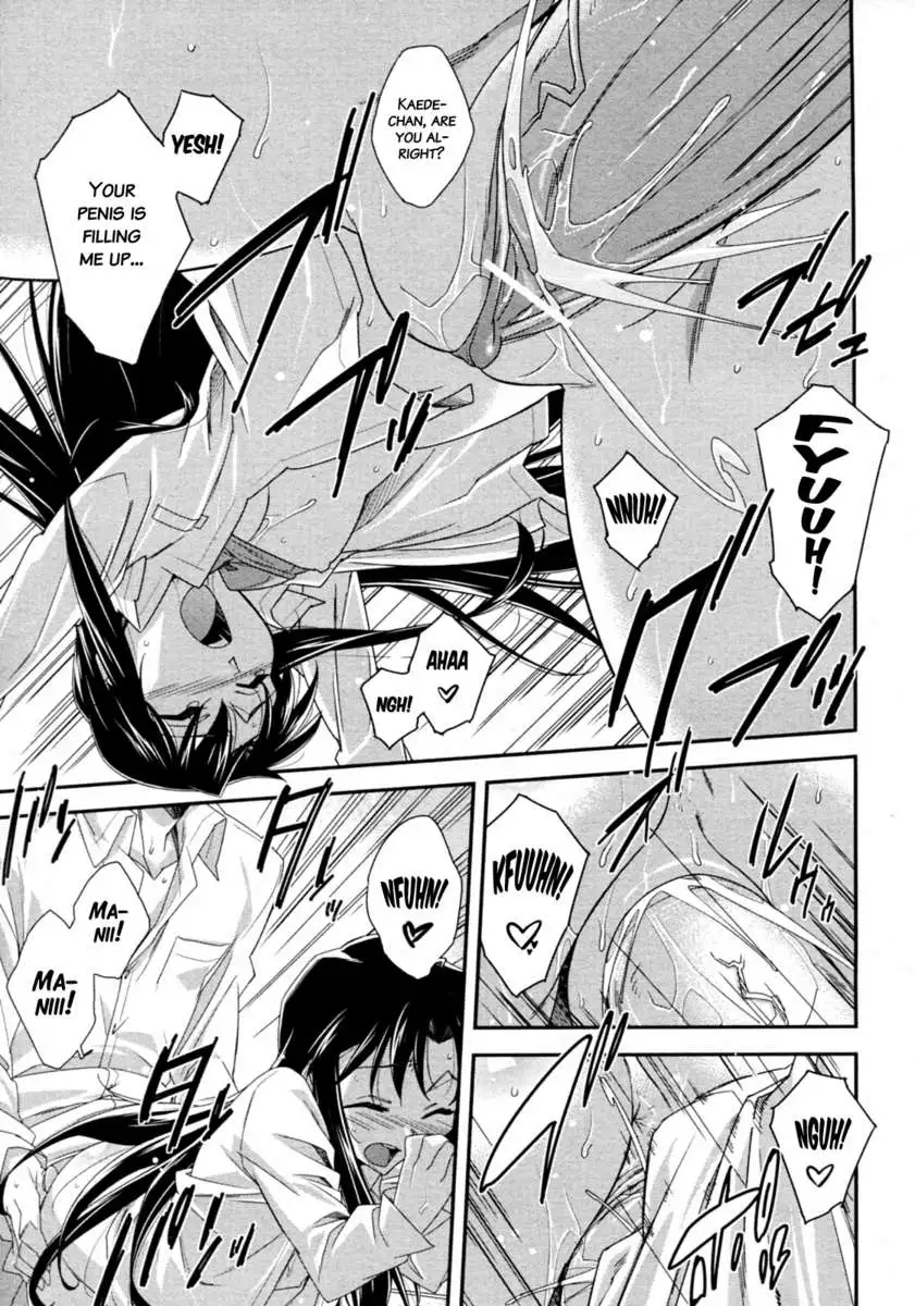 Tsuntsun and Box Lunch