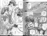 [Appleton] Cherry Town