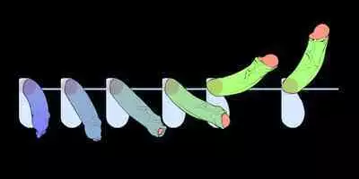 Futanari? What's that?