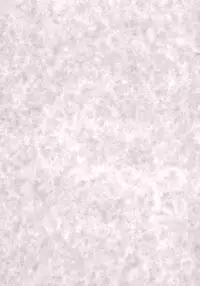 (C71) [Kimarinet (kimarin)] Zero No Kimochi - Feelings of Zero - (Zero no Tsukaima) [Chinese] [黑条汉化]