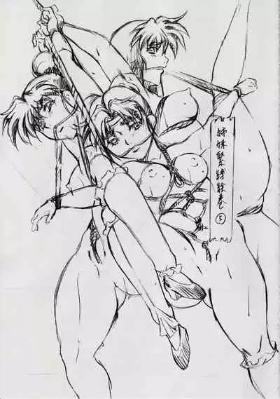 A＆M DS～鬼面の者～