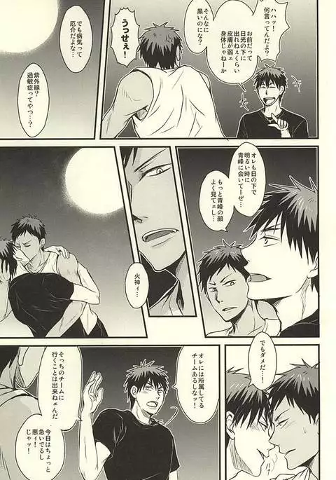 coyote,colored darkness