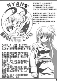 (SC31) [PHYSALIS (Seresu)] Lyrical Fate (Mahou Shoujo Lyrical Nanoha)