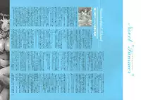 [Nishieda] Dendrobium