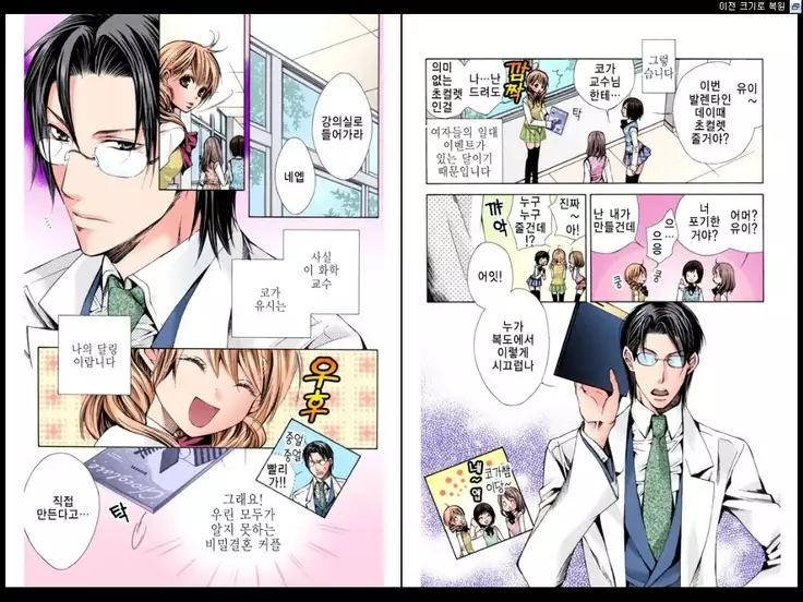 Naisho no Love Mariage | 비밀의 결혼