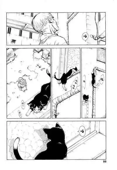 [Machida Hiraku] Kaineko [Chinese] [Incomplete]