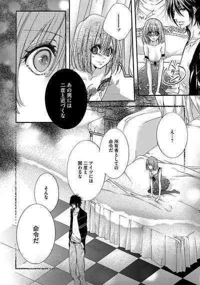 鬼畜兄弟の悶絶調教～私はいいなり奴隷～