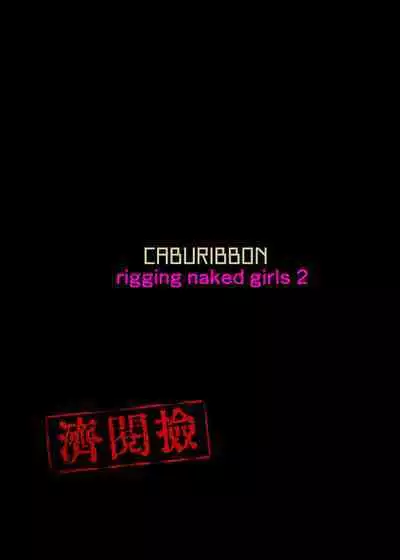 Junsui Gisou Seinou Shiken Ninmu Kai