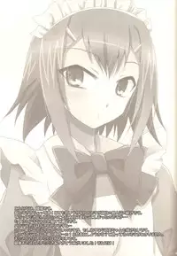 (C78) [Heatwave (Yuuhi)] Baka mo Toose ba Otoko Daze! 2 (Baka to Test to Shoukanjuu)