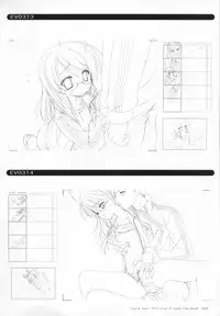 Bra-Ban Visual Fanbook