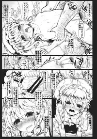 (C81) [Inst] SHADOWS IN BLOOM (Touhou Project)