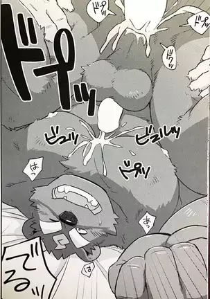 Tanuki to tanuki no bakashi ai