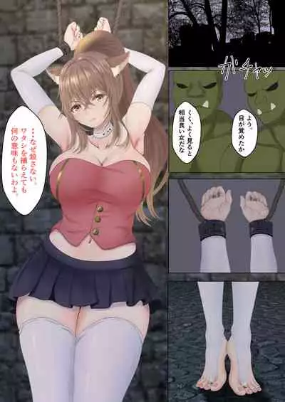 Orc ni Torawareta Nekomimi Kishi no Junan