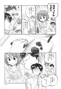 [Nakata Yumi] Okusama wa Seitokaichou