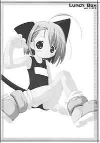 [Electromagnetic Wave (POP)] lunch Box ver1x0.5