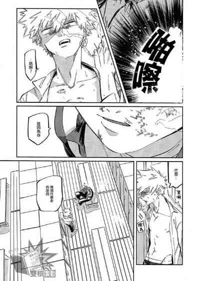 (Douyara Deban no Youda! 17) [nidome (yano)] Rakkasan (Boku no Hero Academia) [Chinese] [双核制动出胜汉化组]