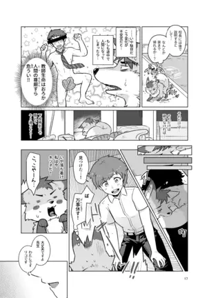 Transformation Guidance Report