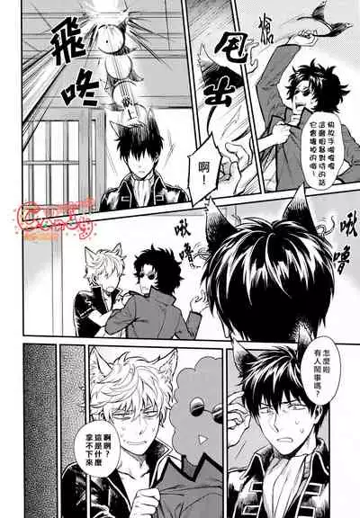 (HaruCC19) [3745HOUSE (MIkami Takeru)] Like cat and dog (Gintama) [Chinese] [糖分漢化組]