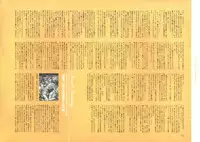 [Nishieda] Dendrobium