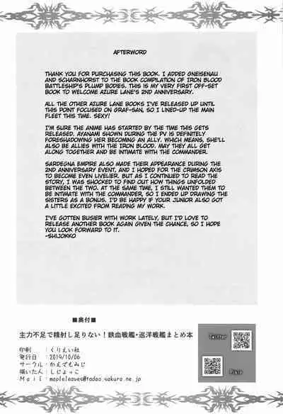 Insufficient main force to shoot ! Iron-Blood Battleship and Battle Cruiser Summary Book