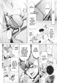 [D.P] Poko to Issho | Together With Poko [English] [SaHa]