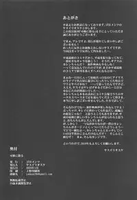 (C95) [Goromenz (Yasui Riosuke)] Karen ni Chiru (CODE GEASS Hangyaku no Lelouch) [Chinese] [千易夏河崎個人漢化]