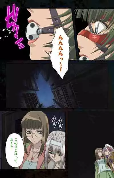 Hainu~ere shukaku no yoru kanzenhan