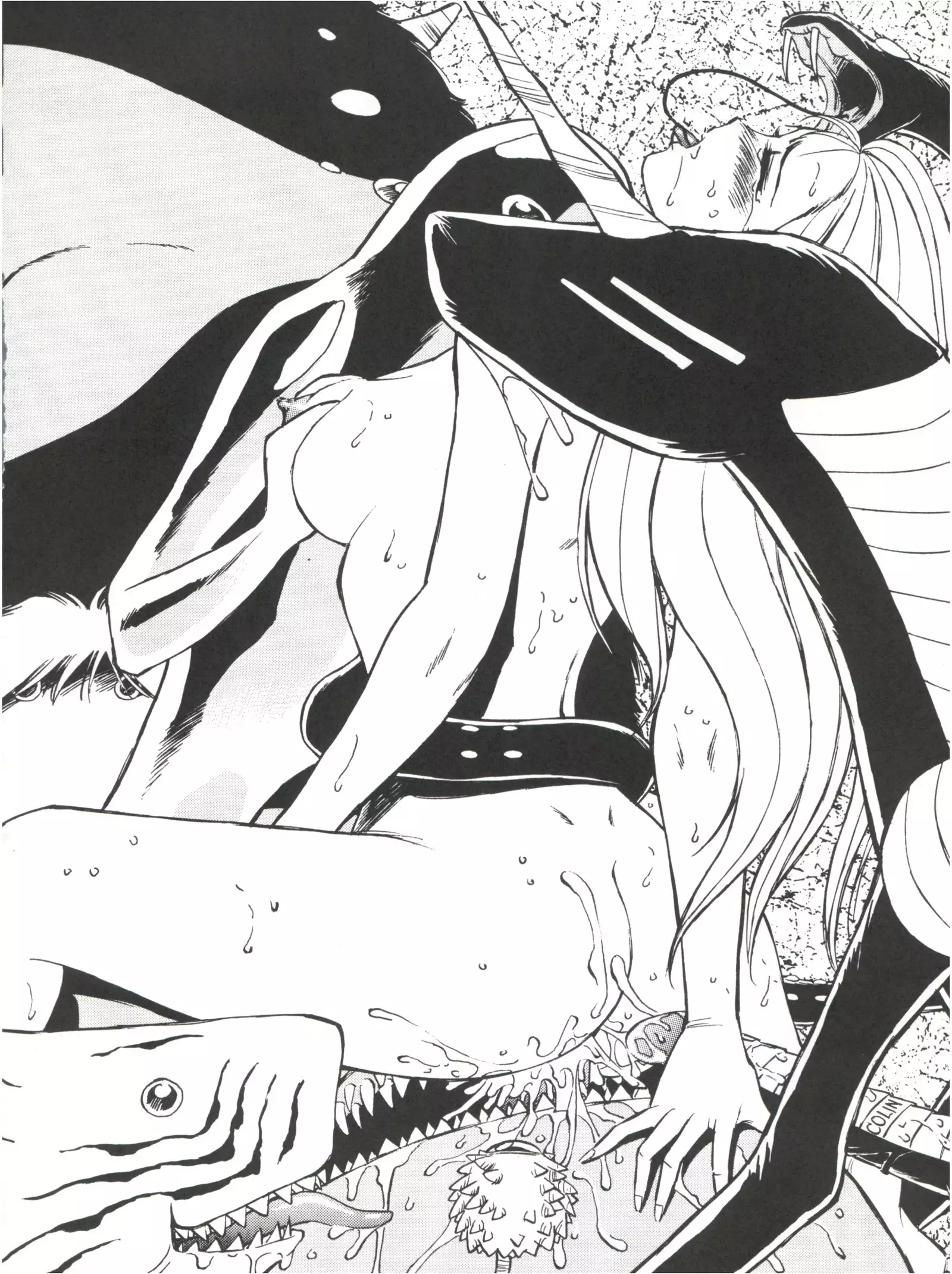 Colins Illustrated Collection