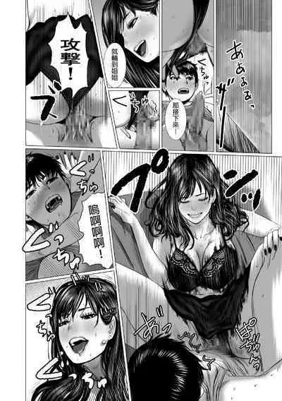 弟のゲーム脳と姉のゲーム性 中文翻譯