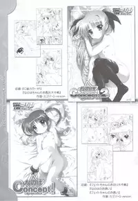 (C80) [TIMTIM MACHINE (Kazuma G-Version)] NANOHA-Concept! 3 (Mahou Shoujo Lyrical Nanoha)