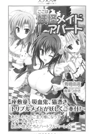 年上メイドの新婚日記