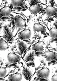 (C62) [C.Bjim (Togawa Hanamaru, Tamanoi Iroha)] Super Storawberry (Utawarerumono, Chobits)