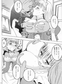 (SC54) [Donzoko Kashiwa Meshi (Mask the J)] HIMESAMA TO 2 (Shining Force)