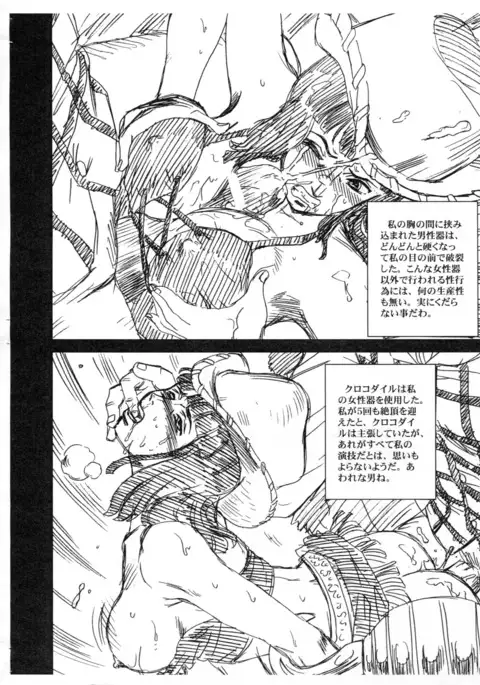 One Piece File Robin Gazoushuu +