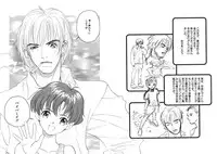 [Armadillo] Happy End