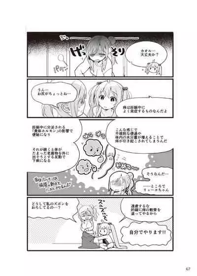 やらなくてもまんがで解る性交と妊娠 赤ちゃんのつくり方