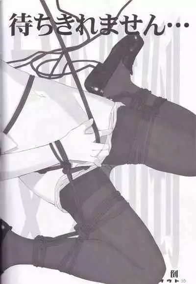 tousaku syojo 2bansenji