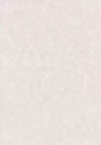 (C78) [Spicia (Kiritomo Koroha)] Mahou no Mori Mokushiroku GENSO-KYO OF THE DEAD (Touhou Project)