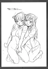 (C77) [Soreya (Nishitsuki Tsutomu)] Ripoko to Mya- no NekoNeko Panic Daisakusen! (Amagami)