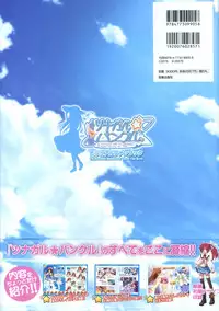 Tsunagaru Bangle - Visual Fan Book