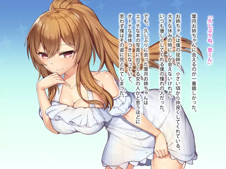 Oneechan no Pantsu wo Nusundara Ecchi na Oshioki wo Sareta Ken.