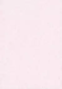 (C81) [Reverse Noise] Brilliant Otonamuke Koumakan (Touhou Project)