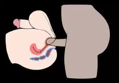 Futanari? What's that?