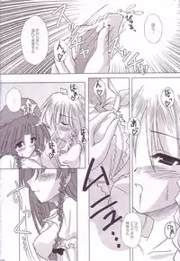 (C74) [Reverse Noise (Yamu)] Lunatic Library (Touhou Project)