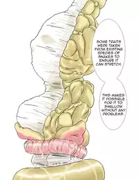 [Kasetsu Shirokuma (Yoi)] P045-02 Vanis Report [English] [CrayZayJay]