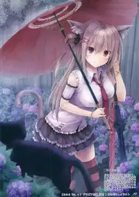 (C88) [Sui-en (Sui-en)] WALNUT78 6th (Kantai Collection -KanColle-)