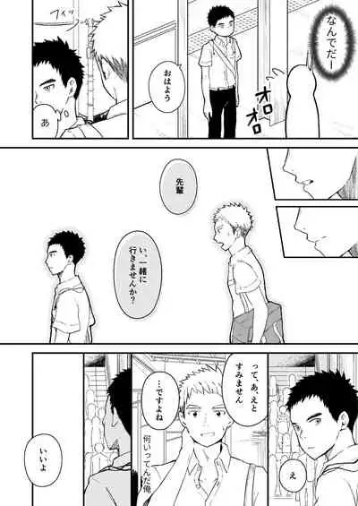 Sukoshi to Ippai no Seishun